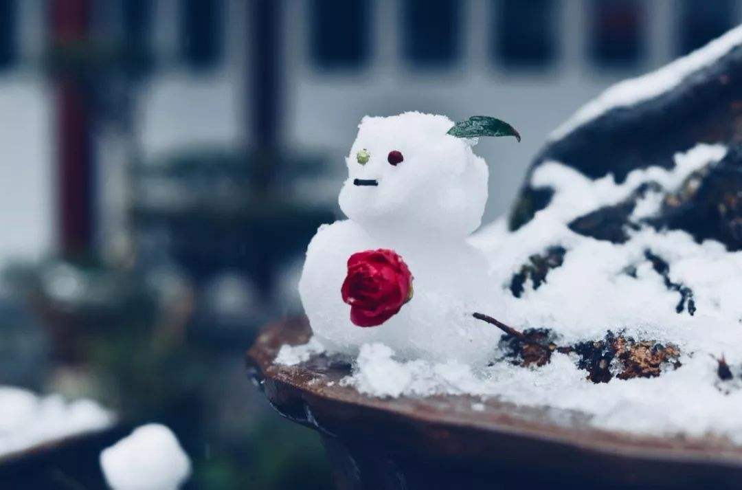 此爱无解此情无期视频,此爱无解公式