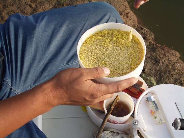 麦芽糖粘小米野钓效果怎么样,麦芽糖蘸小米钓鱼