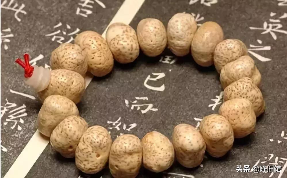 最值得玩的菩提子,真正的菩提子