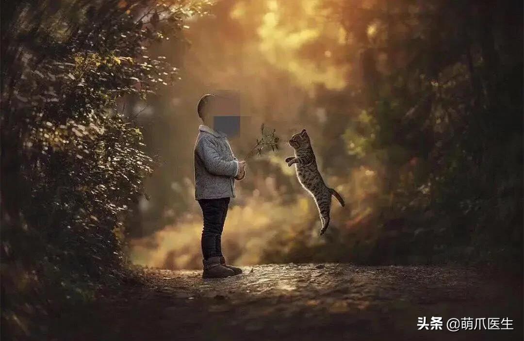 真正的摄影艺术，不是把猫绑在绳子上扔着飞起来