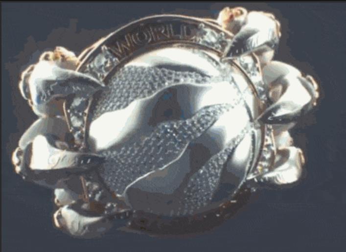 勇士22年总冠军戒指细节,勇士队发总冠军戒指