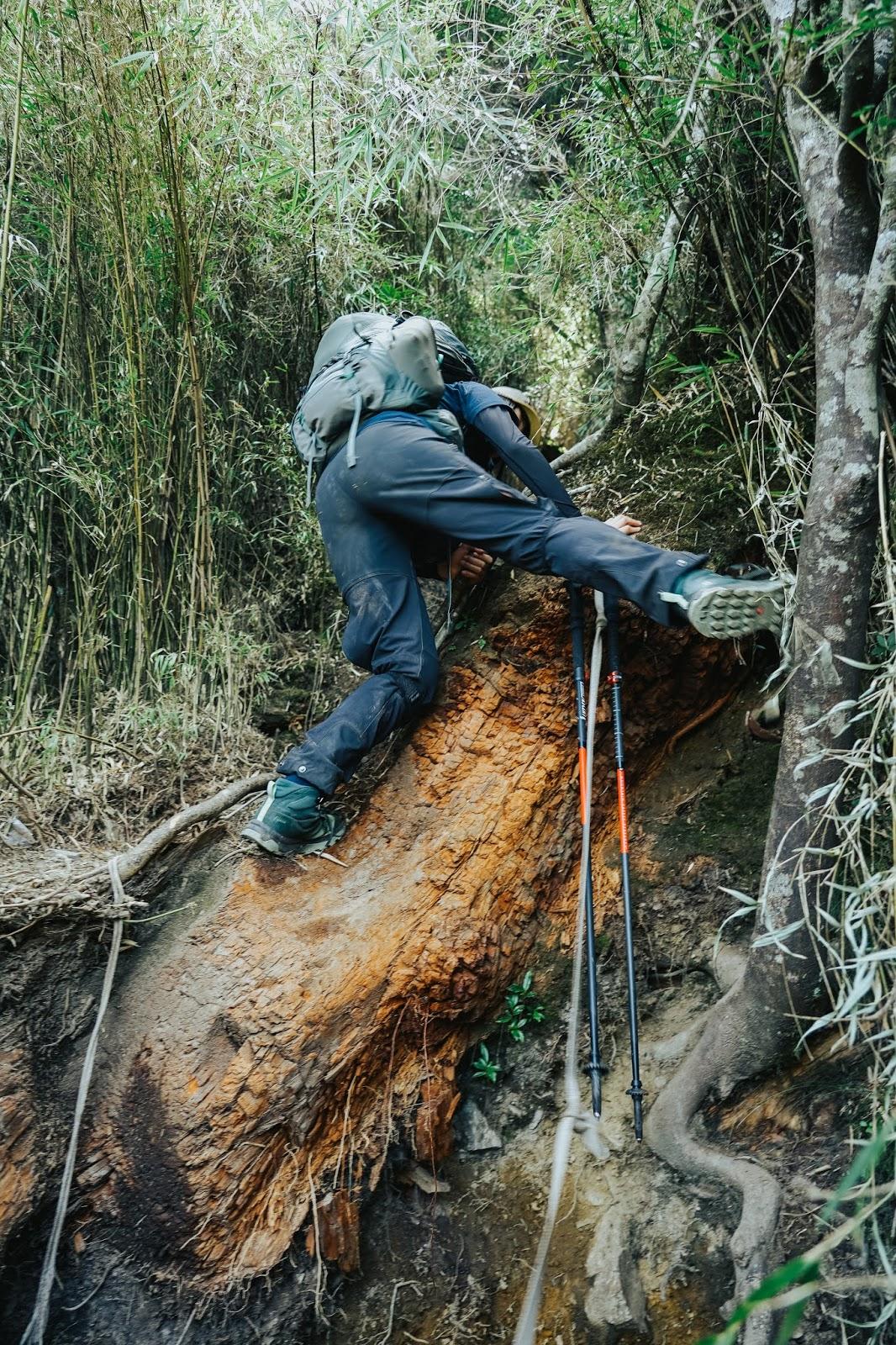 格里高利户外双肩包装备,格里高利登山包评测