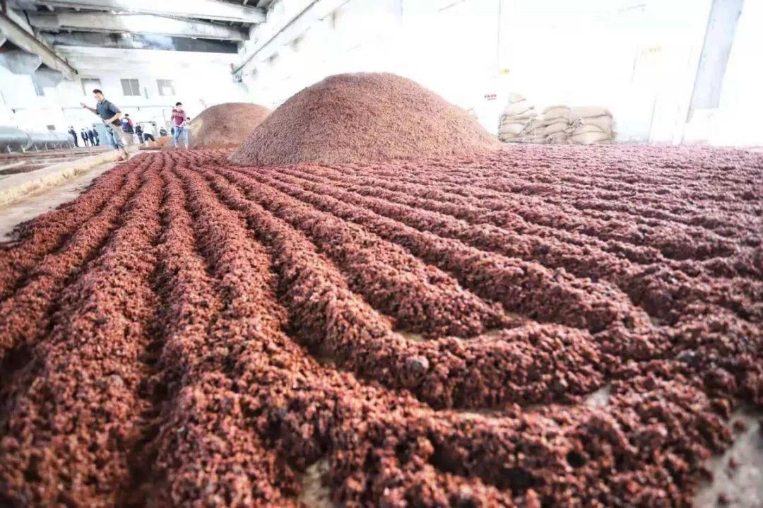 茅台酒踩曲女孩,茅台酒年轻女子踩酒曲