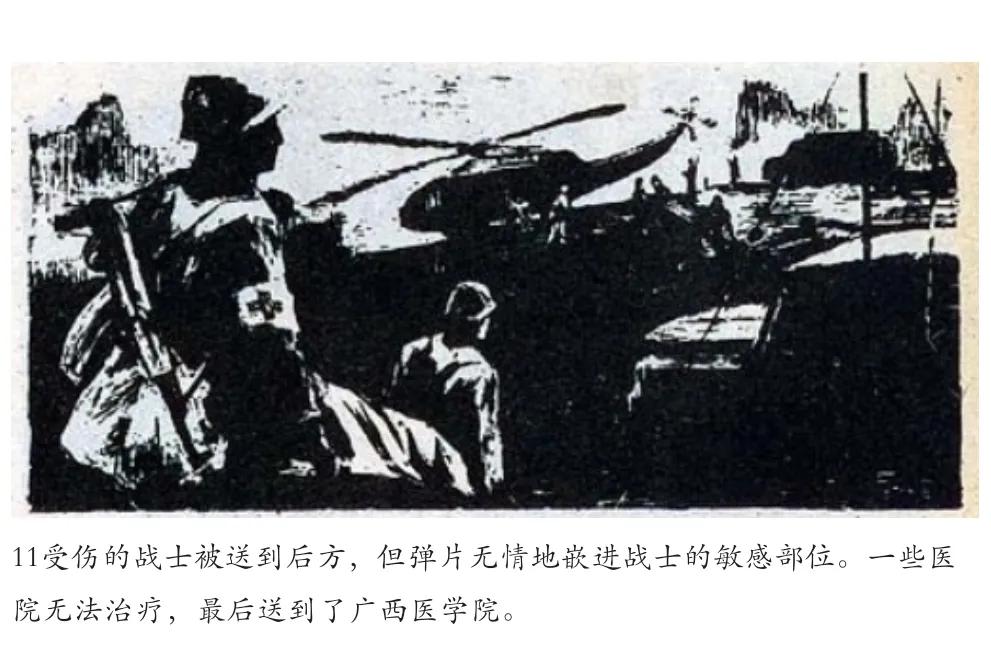 手术刀的故事,手术刀下的故事简介