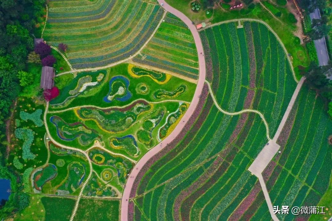 石象湖优惠,石象湖景区3月8号门票优惠吗