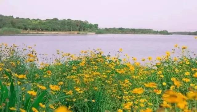 看看纽约中央公园的美景,真实的纽约中央公园