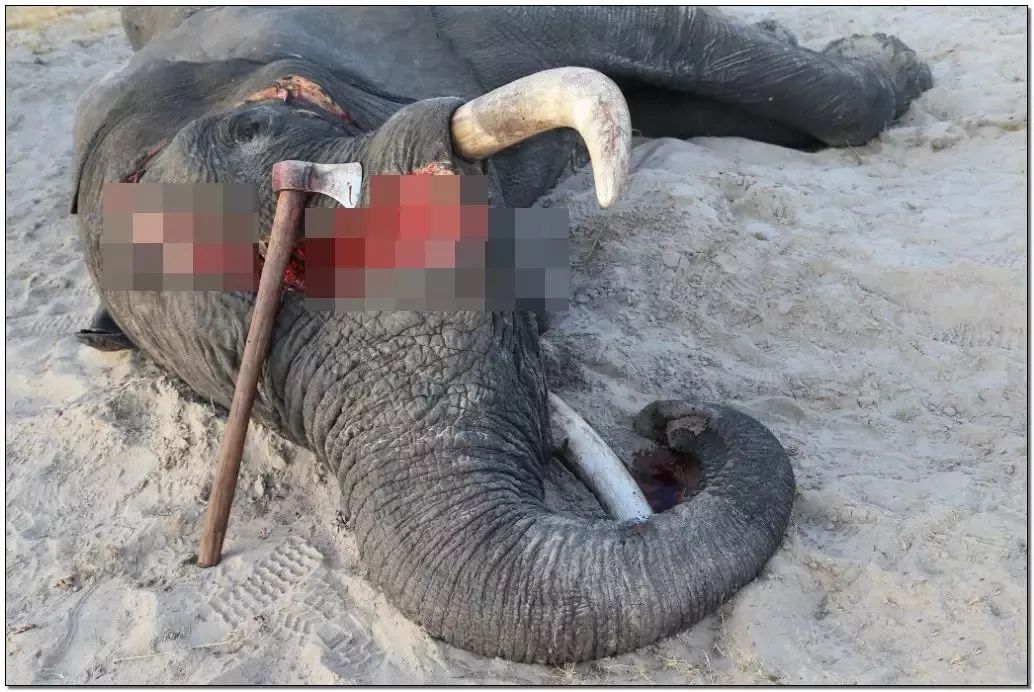 文玩的十大黑幕,文玩最让人无奈的六件事