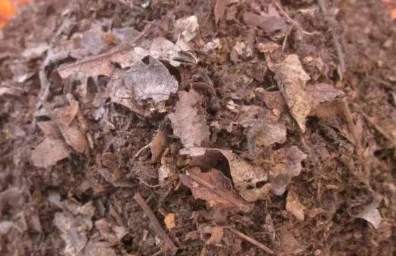 种植花草的营养土是怎么弄出来的,新手养花怎么用营养土最好