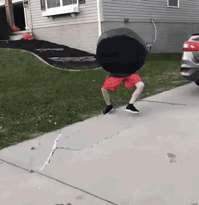 艺术狗视频,艺术狗造型