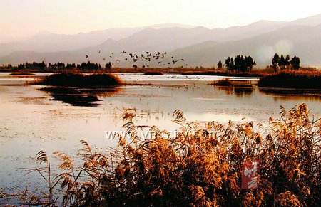 古诗词中含有白草的诗句,以草为意象的古诗词有哪些