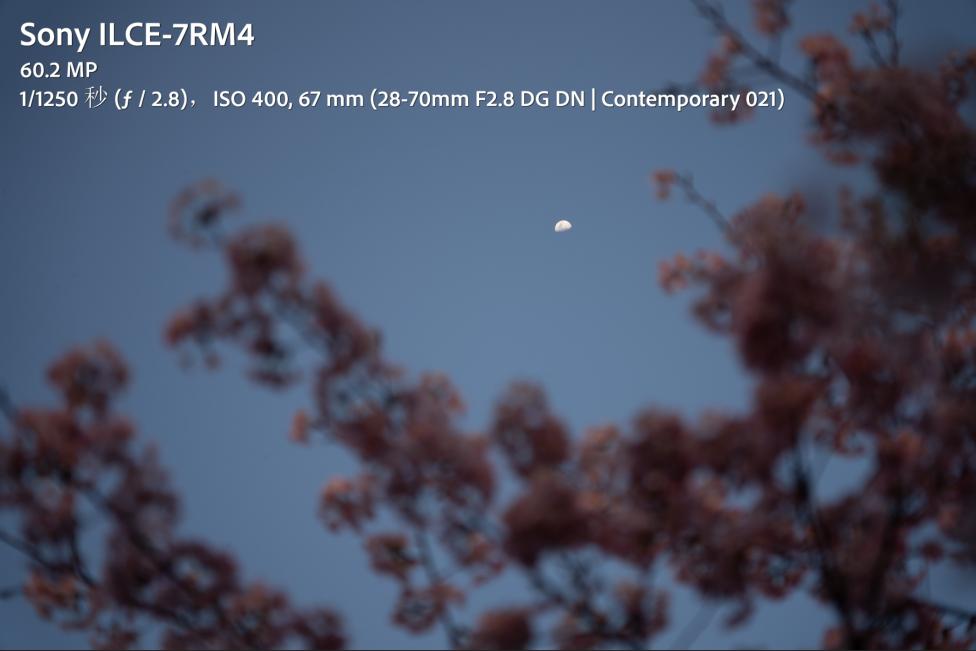 适马24-702.8二代镜头测评,适马新出的24-702.8镜头怎样