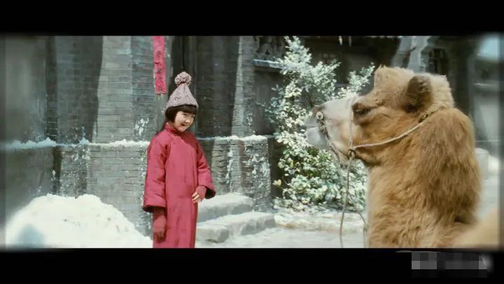 城南旧事让我们懂得了什么,城南旧事让我懂得了什么道理