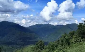 普洱茶分布在西双版纳,为什么西双版纳茶叶要叫普洱茶