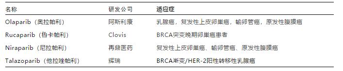 parp抑制剂中国适应症,parp药物名称