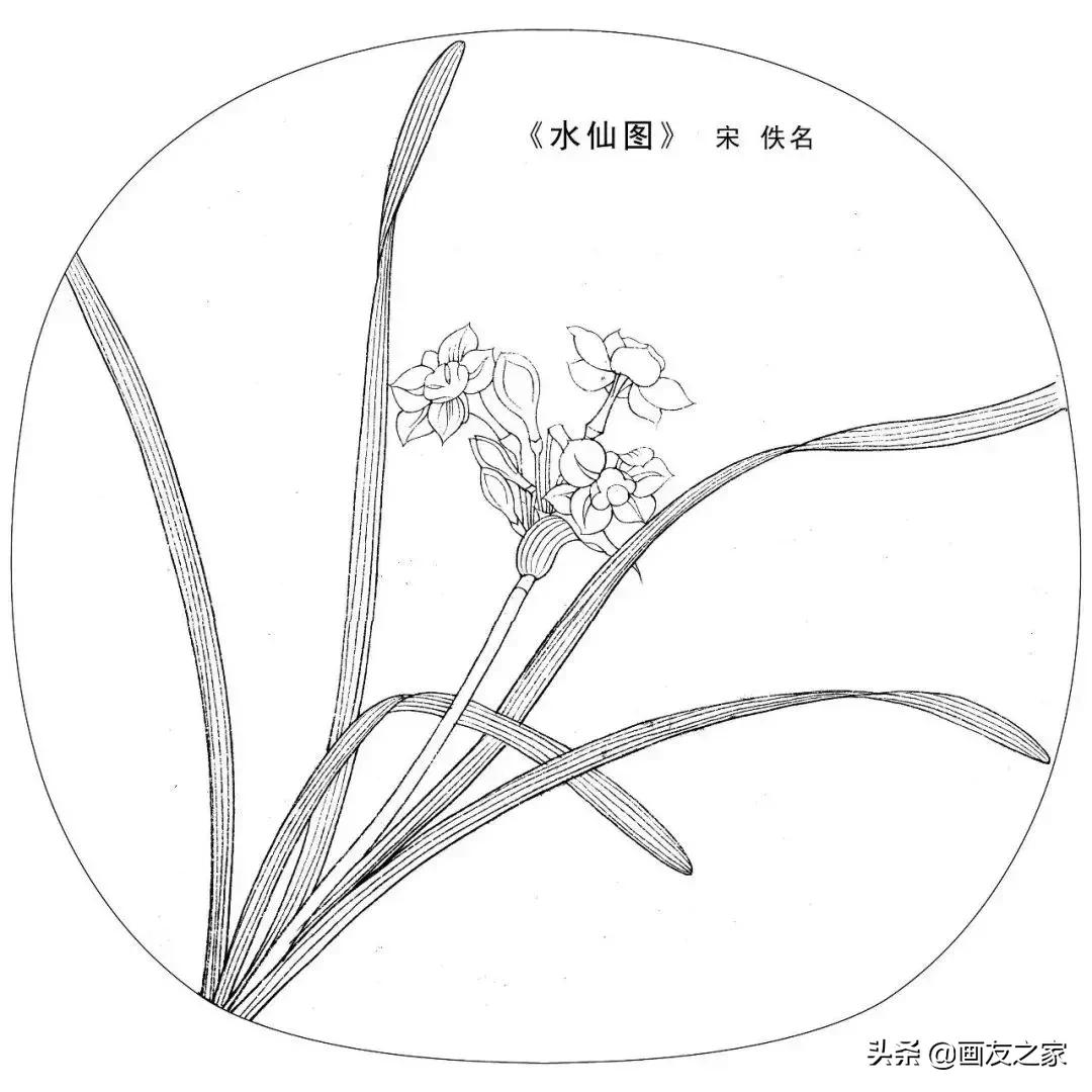 宋花鸟工笔画高清大图临摹过程,宋画工笔画花卉上色教程