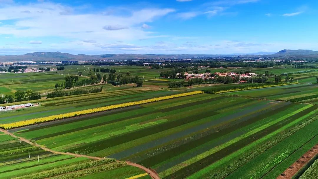 幸福生活到底啥模样,幸福生活到底是什么样的