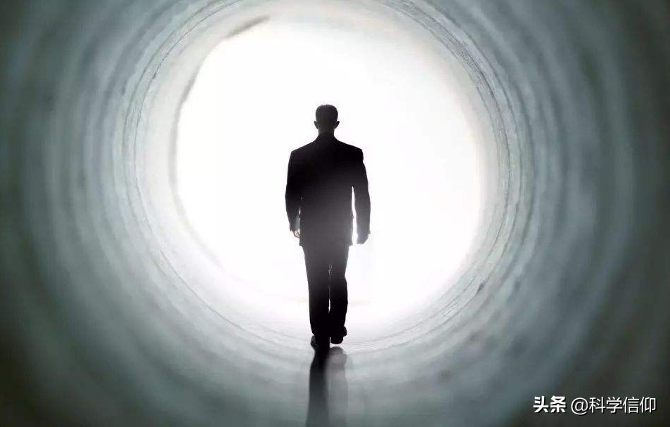 生物进化为什么是繁衍而不是永生,生物为什么不可以无限长大