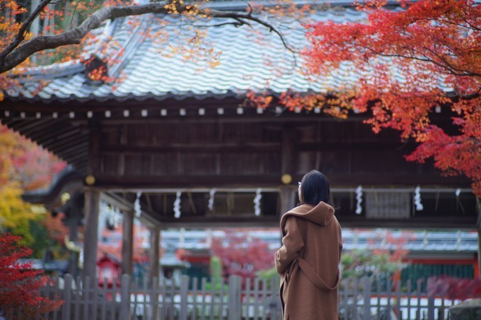 京都赏枫2022,京都赏枫必去景点有哪些好玩的