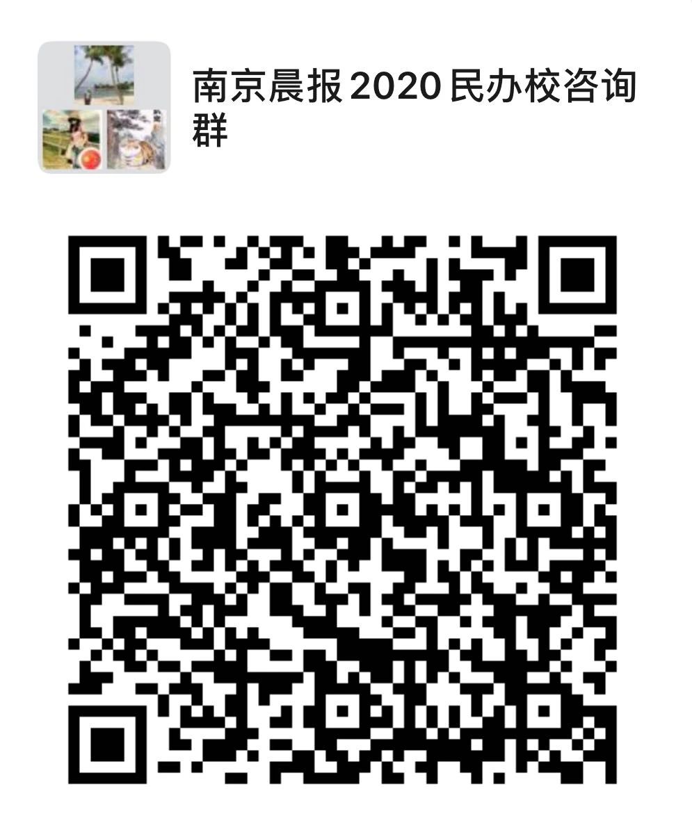 河西区公办小学,南京河西南有哪些好的小学