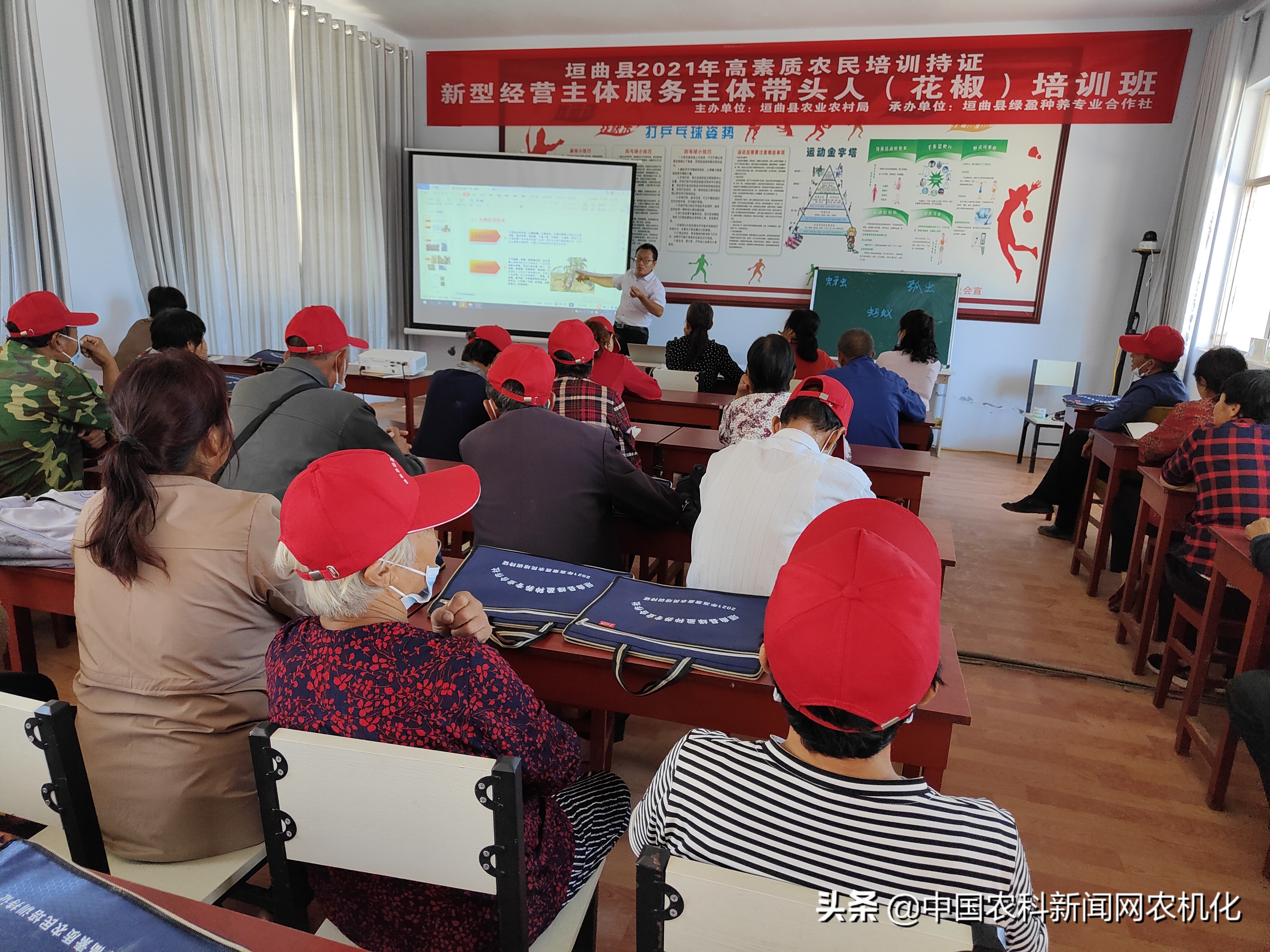 种植花椒的技术研究,致富经花椒种植新技术