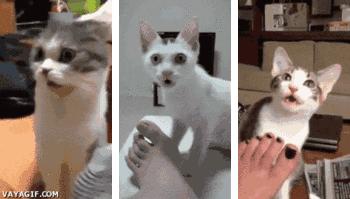 “脚臭”最怕脱鞋尴尬？随身带瓶鞋袜除味喷雾，还你自信每一天