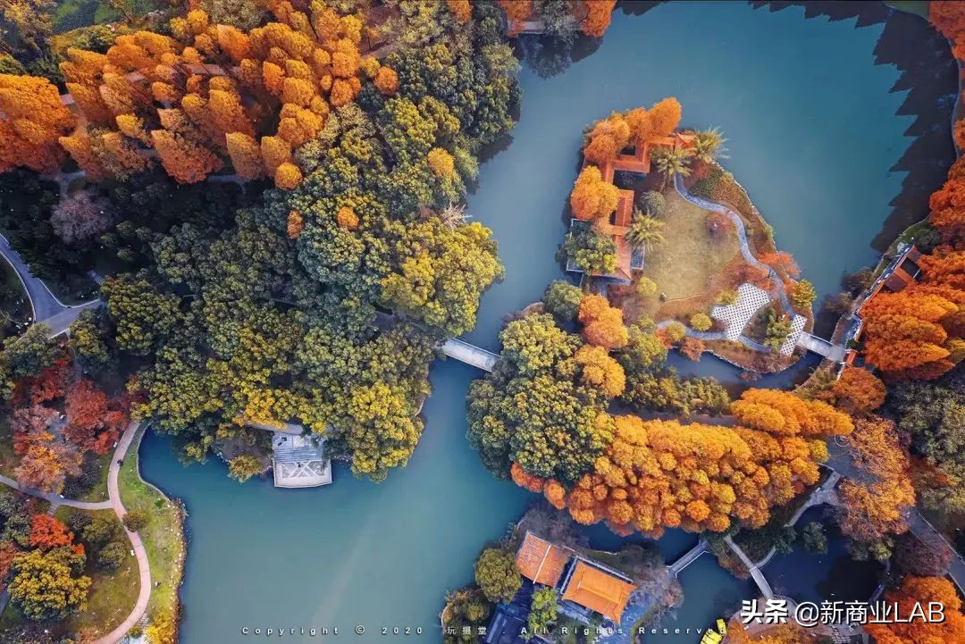 姝︽眽閰掑簵鑽掓紶,姝︽眽涓轰粈涔堣绉颁负閰掑簵鑽掓紶