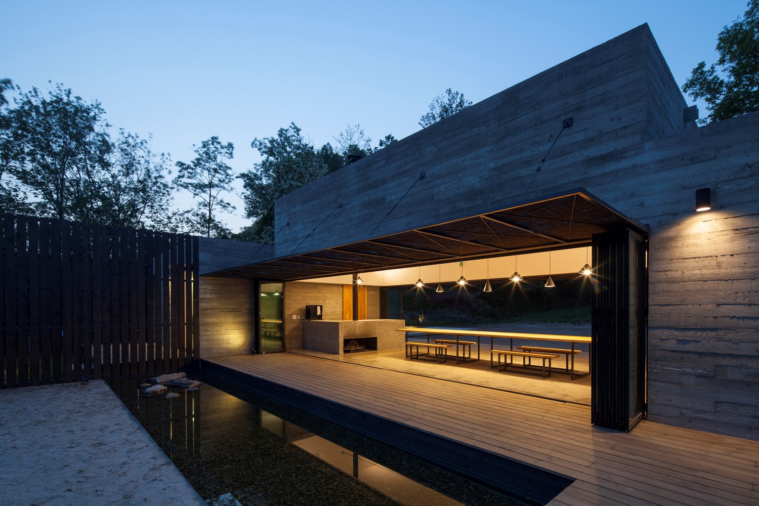 韩国蒲公英,韩国野生蒲公英的种植