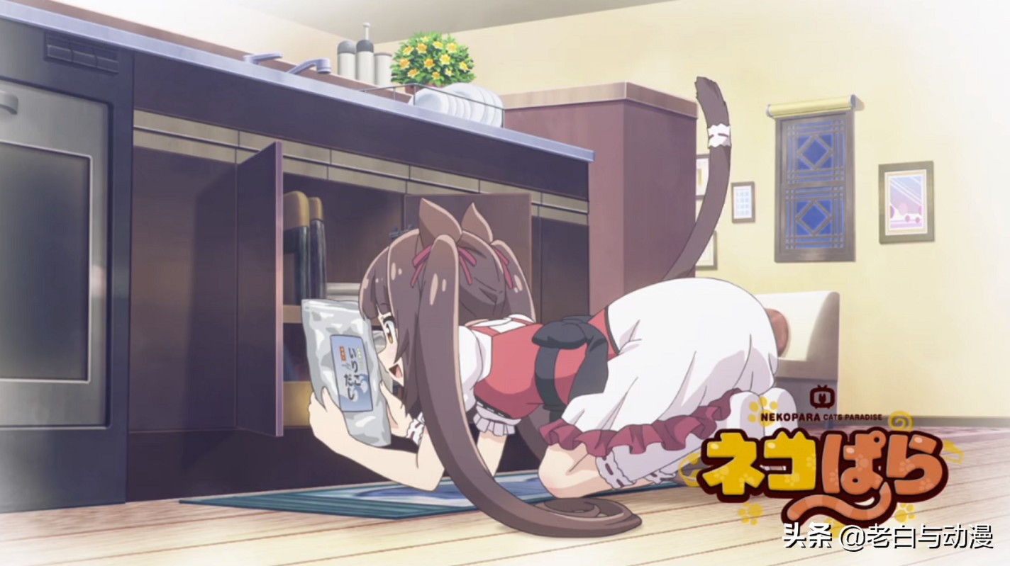 这才是猫奴必看动漫,动漫猫娘超可爱