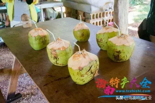 椰子在海南话有什么别的意思吗,椰子在海南的地位