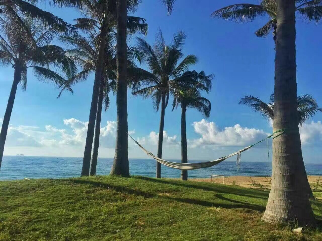 清水湾珊瑚宫殿跟雅居乐,雅居乐清水湾楼盘讲解