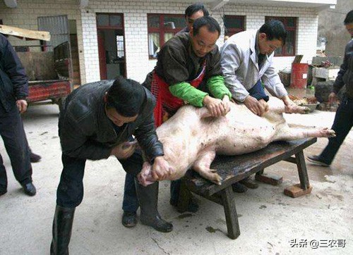 农民返乡创业有哪些好项目可以做,返乡创业致富的方法有哪些