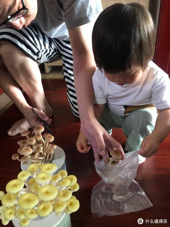 怎么给孩子进行steam教育,为什么孩子要学steam教育