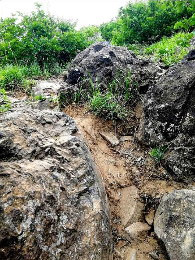 内蒙古通辽市扎鲁特旗大草原,通辽市阿古拉湿地公园