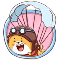 2019苍南县招聘教师275名公告