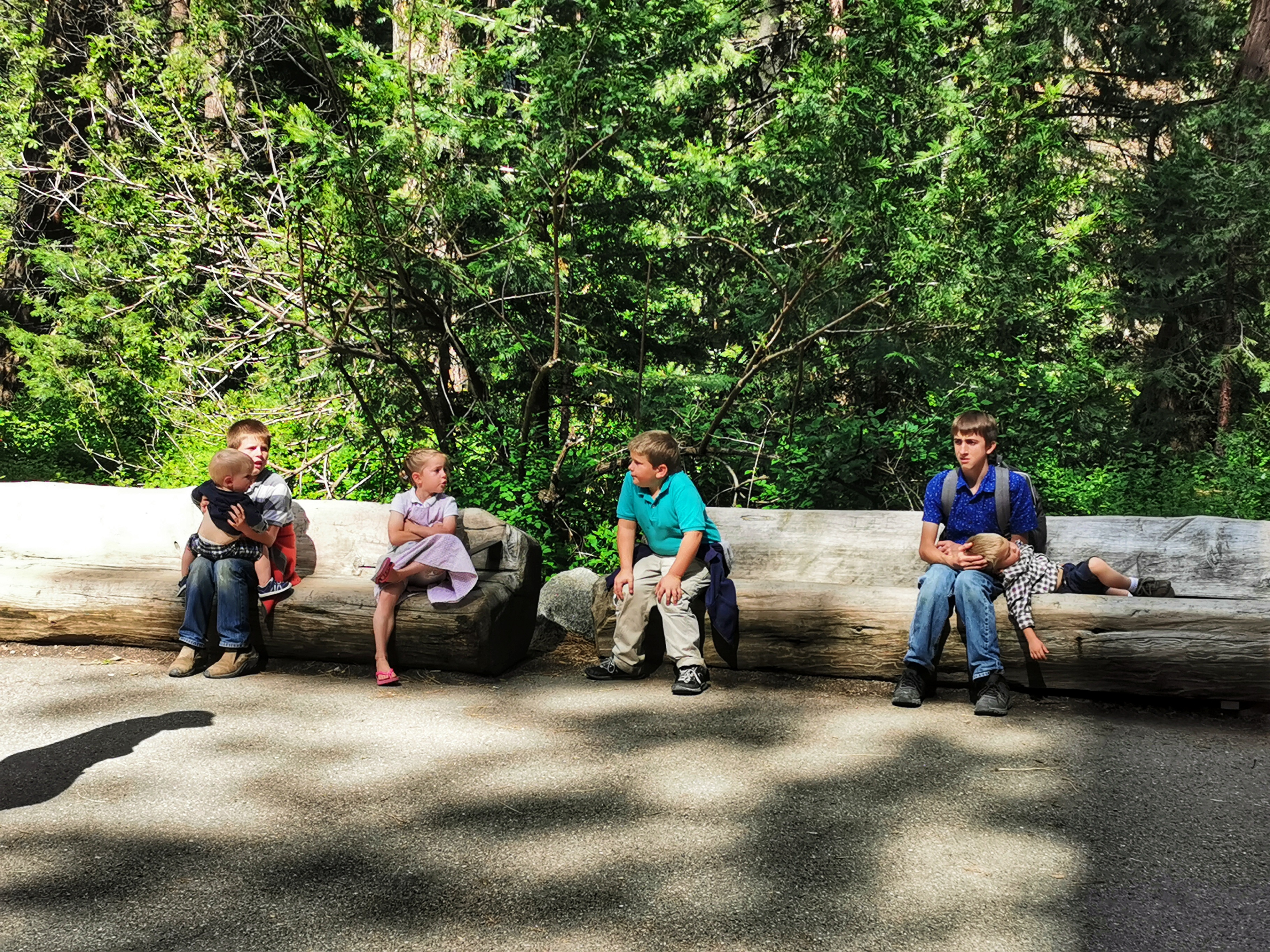 加利福尼亚优胜美地,美国旧金山优胜美地