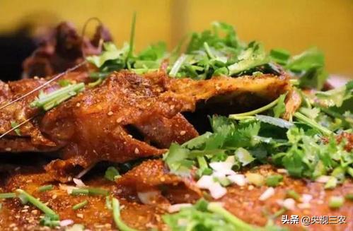 怎么辨别羊肉是山羊肉还是绵羊肉,羊肉是山羊肉好吃还是绵羊肉好吃