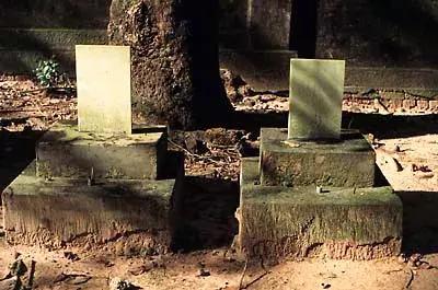 日本女人卖奢侈品,日本女人卖服装