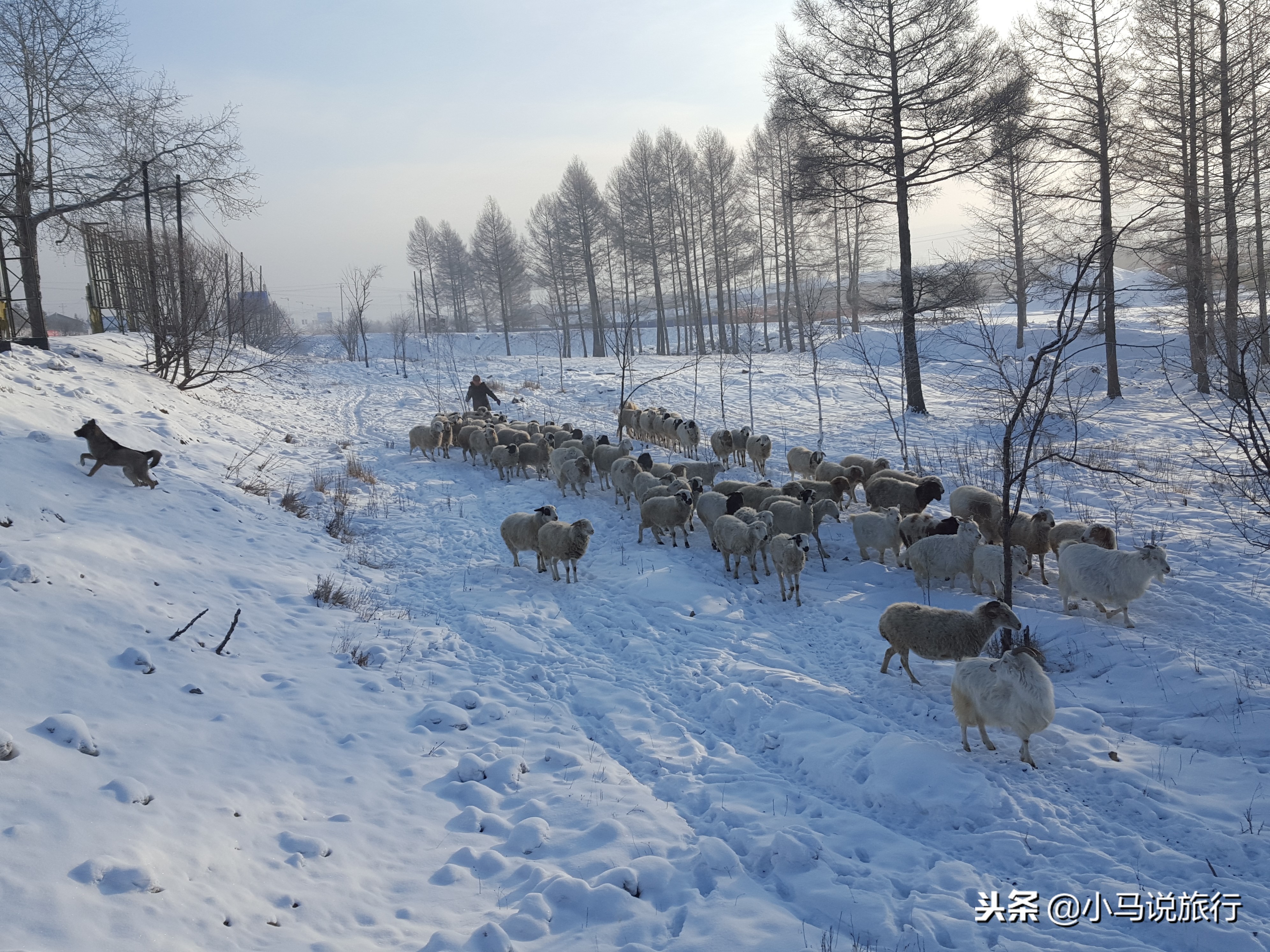 浜叉祴铚滈洩鍐板煄,浜叉祴闆硶