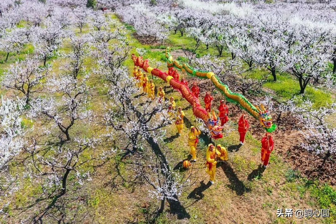 铜山，你还想怎么样