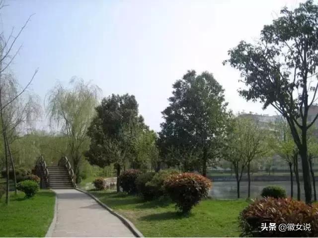 合肥各个区pk郑州,合肥是全国最漂亮的城市吗