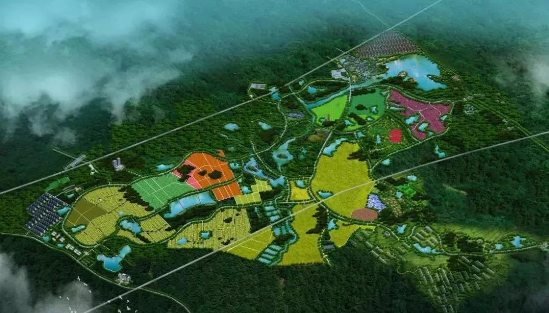 高性价比农村建房,高性价比的民宿推广