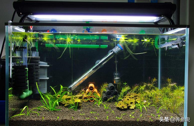 水草泥和陶粒的区别图片,水草泥和陶粒砂哪个贵