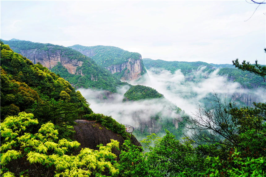 浙江有一个神奇山,浙江山里蝌蚪