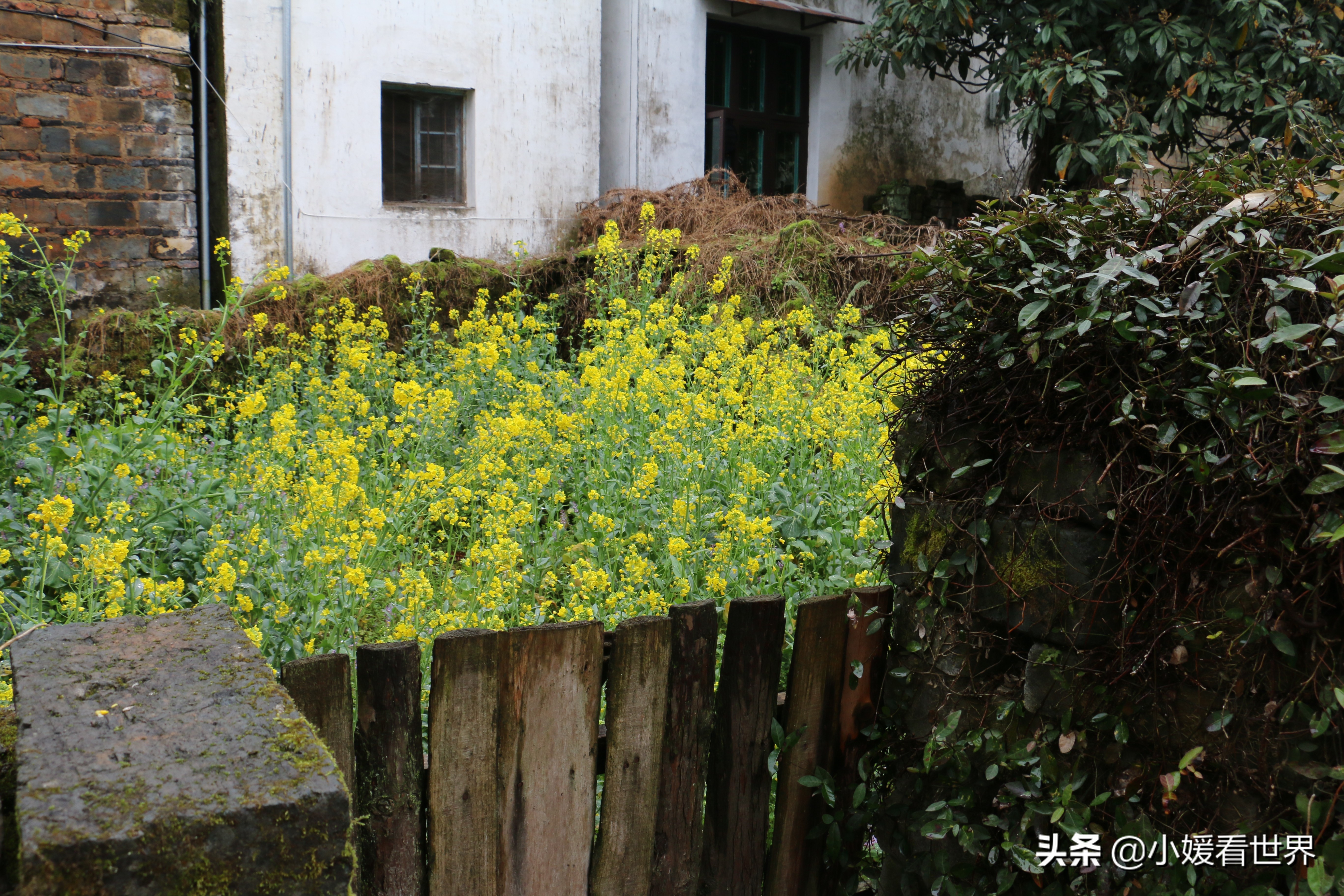 婺源江湾景区游玩攻略,婺源江湾景区观景台