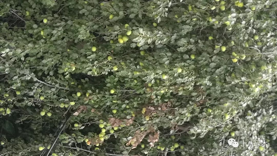 西藏滇藏骑行攻略,骑行滇藏丙察察线完整攻略