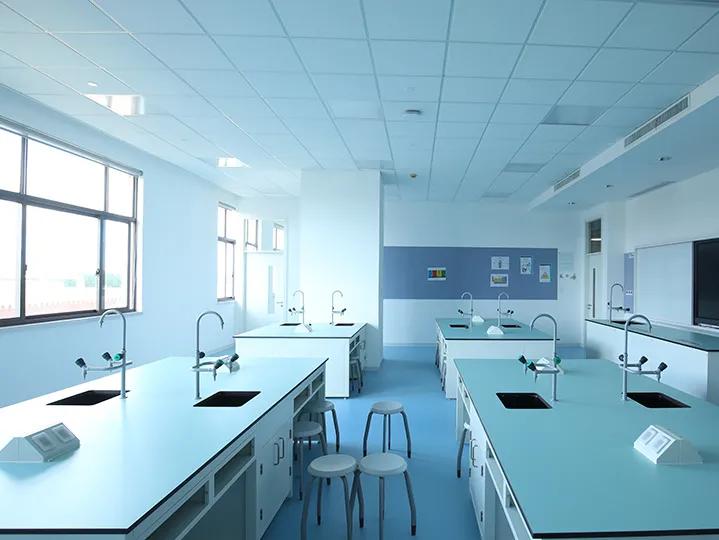 被称为沪上传奇校长,她说出了这所学校在三年内成为黑马的原因