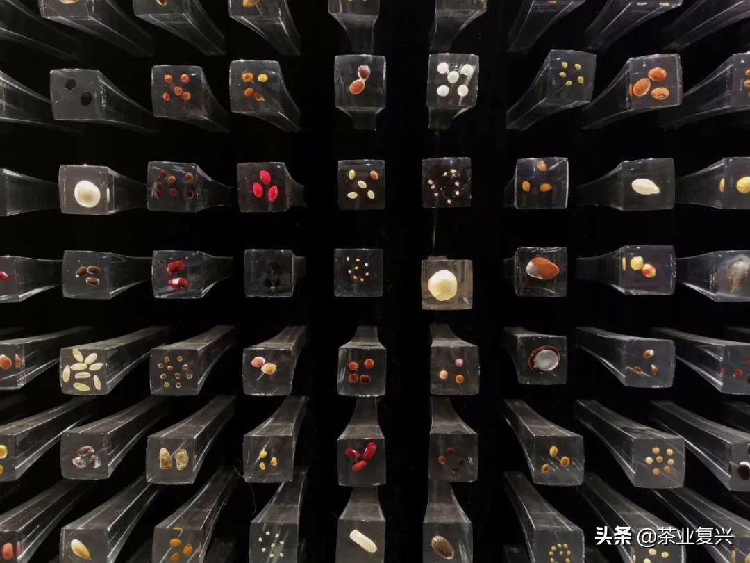 中华茶文化的弘扬与传承,新时代中国茶文化的发展传承