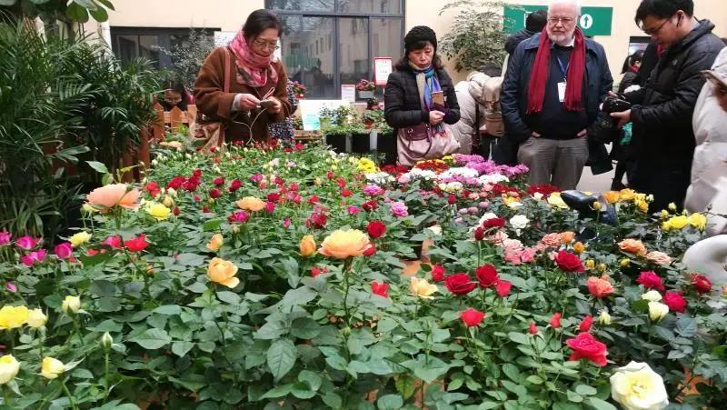 家庭园艺市场前景不可估量,家庭园艺生意有市场吗