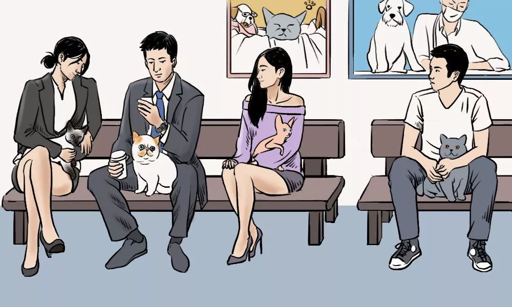 养猫的人到底有多有钱,北上广养猫的人