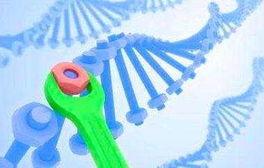 无性生殖动物是怎样生殖的,有性生殖的动物能进行无性生殖吗